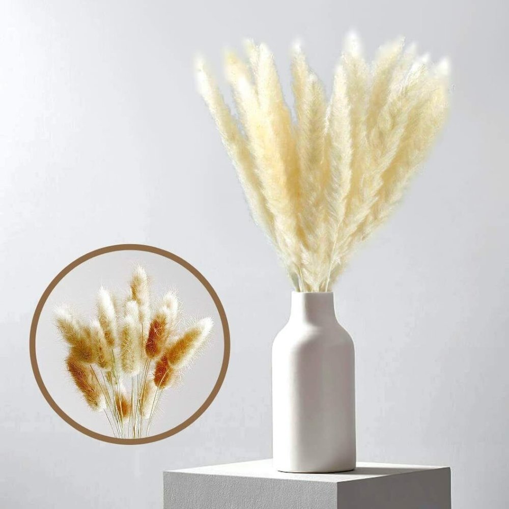 NEW luxury dried pampas grass branches 🌾